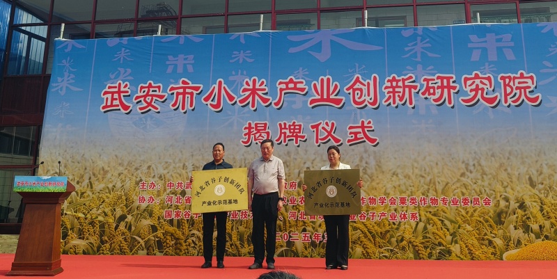 河北省现代农业产业技术体系谷子创新团队产业化示范基地揭牌 河北省现代农业产业技术体系谷子创新团队产业化示范基地揭牌