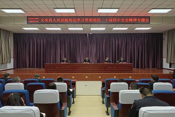 文安法院召开党组(扩大)会传达学习党的二十届四中全会精神