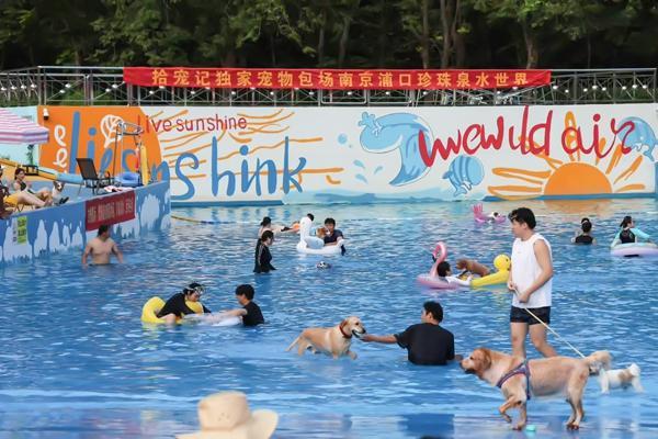 带宠物旅行,成了一门生意