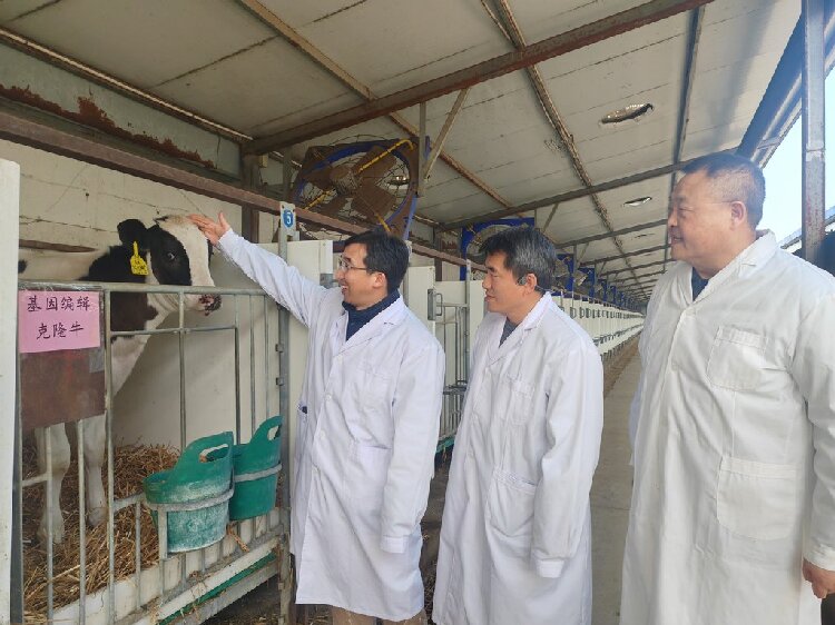 ����������̥��ϸ������༭��¡ţ�ںӱ������ɹ�