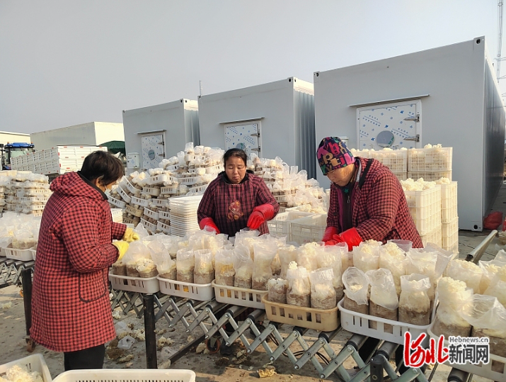 �ܽ��ĺӱ�����ʮ���塱���ح��ƶ����һ�ߵ��У��ţ��������ǻ�΢����������ϡ����ҵ����